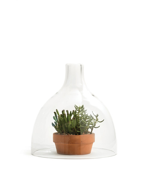 small/clear 10.5″H x 9″Dia (26x23cm)